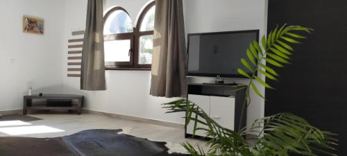 Televisyen dan/atau pusat hiburan di ZEN SPOT Satic