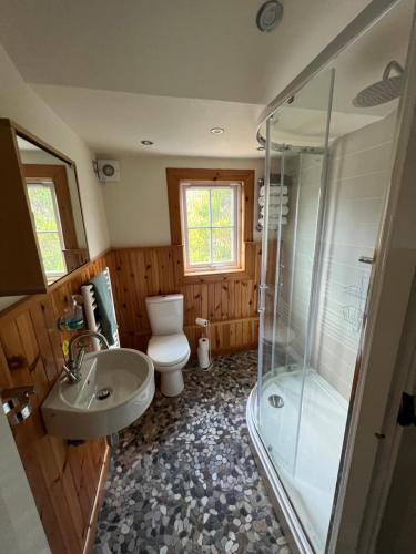a bathroom with a shower and a toilet and a sink at Viking Cottage in Arrochar