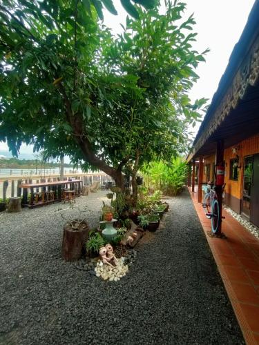 สวนหย่อมนอก Rim Than View Resort