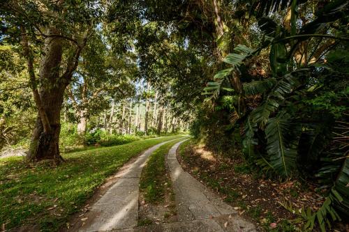 a dirt road through a forest with trees at 302 On Old Sea View Road Chelsea in Port Elizabeth