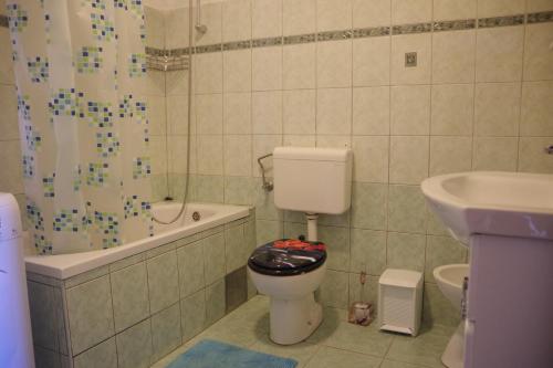 a bathroom with a toilet and a shower and a sink at Apartments Opsenica Barbat in Barbat na Rabu