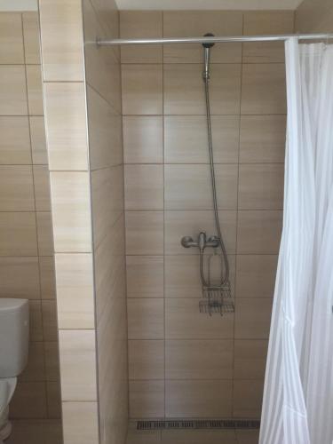 a shower with a shower curtain next to a toilet at Apartmány Silvia in Dunajská Streda