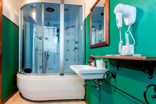 a green bathroom with a shower and a sink at Sa Domo De Alene in Bosa
