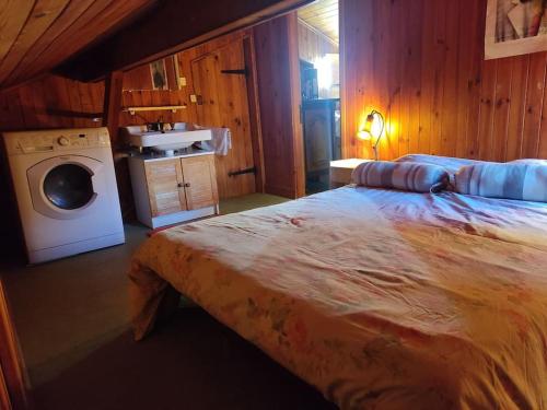 a bedroom with a bed and a washing machine at Chalet accueillant et familial in Saint-Martin-Vésubie