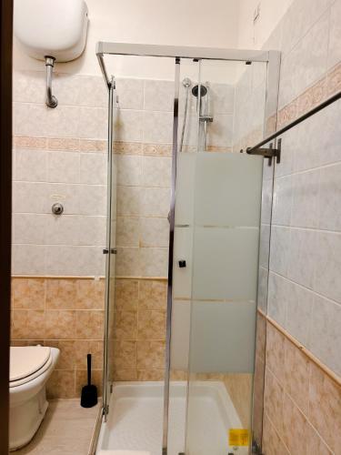 a bathroom with a shower and a toilet at Alius and Freerome Hotel in Rome