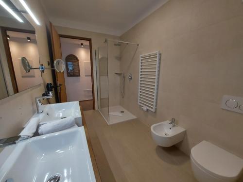 a bathroom with a sink and a toilet and a shower at SchartnerAlm in Collalbo