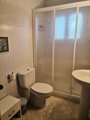 a bathroom with a shower and a toilet and a sink at Mirador de San Matias in Covaleda