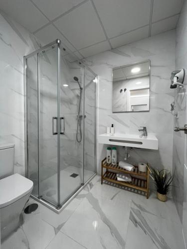 e bagno con doccia, servizi igienici e lavandino. di Los Almendros - Free Parking a Cordoba