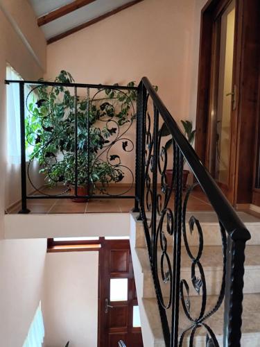 a staircase with a plant in a pot at Guest rooms Bansko in Bansko