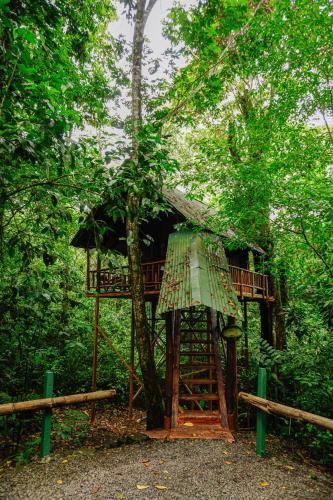 Κήπος έξω από το Tree Houses Hotel Costa Rica