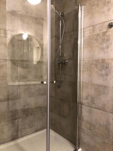 a shower with a glass door in a bathroom at Le Trèfle à Quatre Feuilles in Siorac-en-Périgord