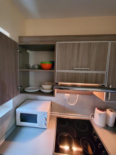 Fotografie z fotogalerie ubytování Royal Panorama Apartman & Free Garage Parking v destinaci Soko Banja