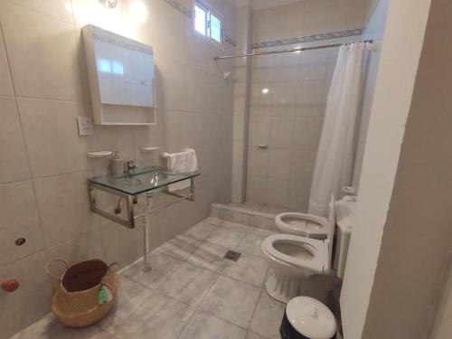 a white bathroom with a toilet and a sink at La Viña in Tupungato