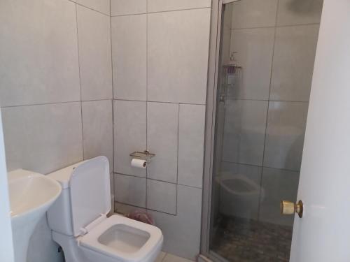 uma casa de banho com um WC, um lavatório e um chuveiro em Brookes Hill suites no 18 em Port Elizabeth