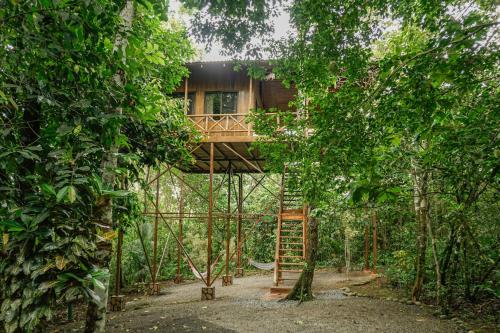 Florencia的住宿－Tree Houses Hotel Costa Rica，森林中的一个树屋