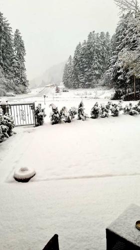 Chalet Relax Molveno – Photos 2