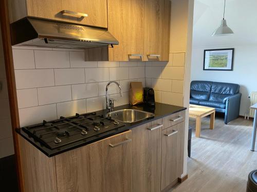 Appartementen De Zegelskoëlにあるキッチンまたは簡易キッチン