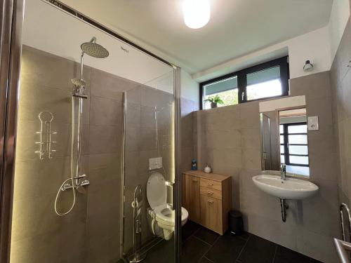 y baño con ducha, aseo y lavamanos. en Luxury Villa Rosemary with free garage in Szentendre, en Szentendre