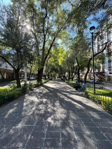Fotografie z fotogalerie ubytování Boutique Hotel Durango219 v destinaci Mexico City