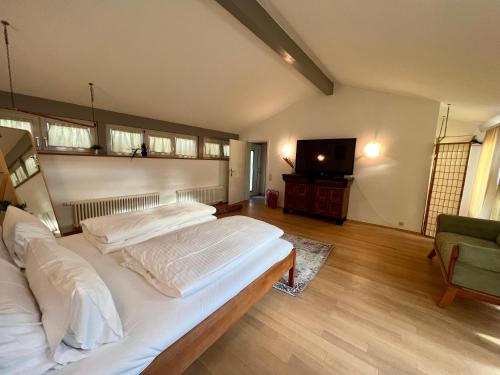 a bedroom with a large bed and a television at Ferienwohnung Müllheim - mit Garten und Wintergarten in Müllheim