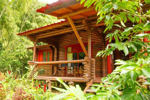 a small wooden cabin in the middle of a forest at Eco Cabañas San Lorenzo in La Mesa