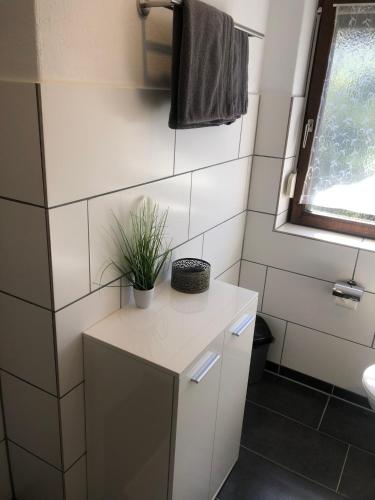 a small white bathroom with a plant on a counter at Ferienhaus Lipp in Mittenwald