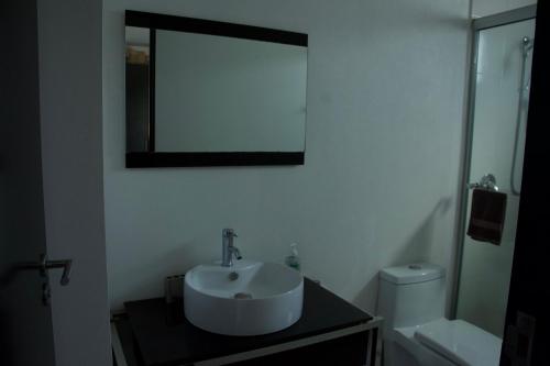 uma casa de banho com um lavatório e um espelho na parede em Habitación confortable dentro departamento Natura em Cidade do México