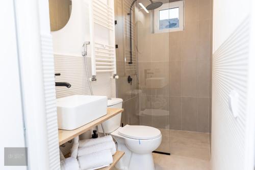 a bathroom with a toilet and a sink and a shower at Urban Nest in Zalău
