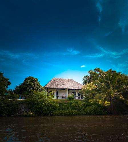 a house with a palm tree in front of the water at Hotel Maya Jade in Monterrico