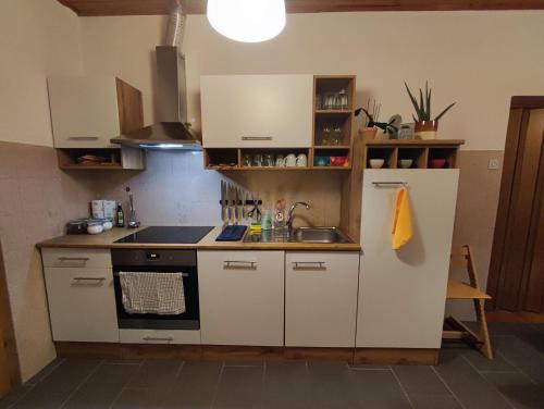 a small kitchen with a sink and a stove at Family Hostel Pivka in Pivka