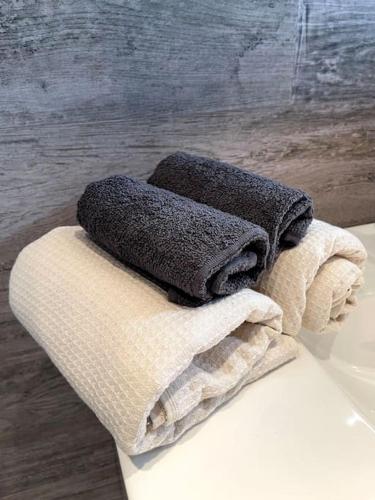 - deux serviettes assises au-dessus d'un lavabo dans l'établissement Sélestat centre - Le classique - 5 personnes, à Sélestat