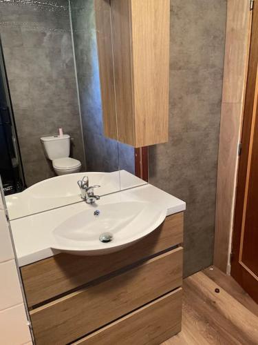 une salle de bain avec un lavabo blanc et des toilettes dans l'établissement Maison isolée sur piste de ski de fond avec terrain de pétanque Ideal pour week-end entre amis et famille, à Longchaumois