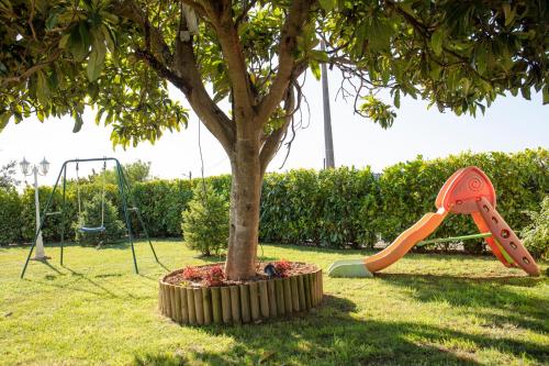a playground with a tree and a swing at Matouco Country House in Poços
