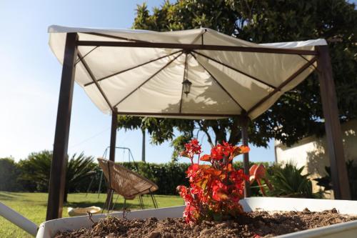 an umbrella and flowers sitting on a table at Matouco Country House in Poços