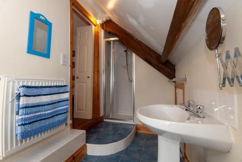 a bathroom with a white sink and a shower at Nash Field Cottage in Llangwm