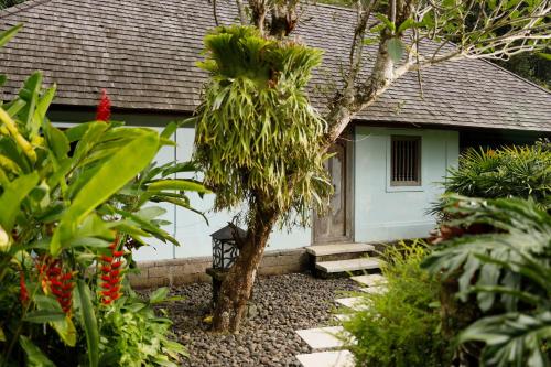 a small white house with a tree in the yard at Villa Inka Ubud by Nakula in Ubud