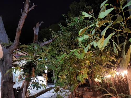 Gallery image of Alojamiento Brisas in Brisas de Zicatela