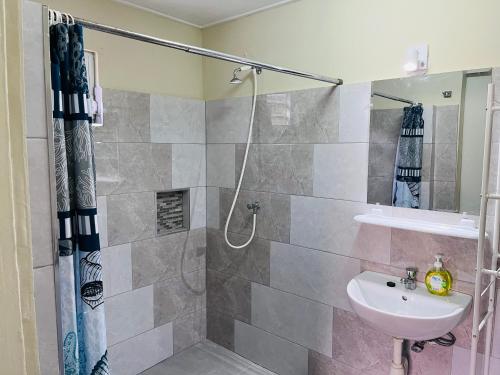 威廉斯塔德的住宿－Wondershell Curaçao，一间带水槽和淋浴的浴室