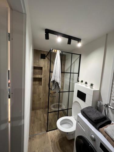 a bathroom with a toilet and a glass shower at Kamienica Żołnierska 2 mieszkania numer 4 i 5 in Olsztyn
