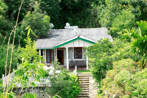 Ella Sanron Resort & Ayurvedic Treatment Center