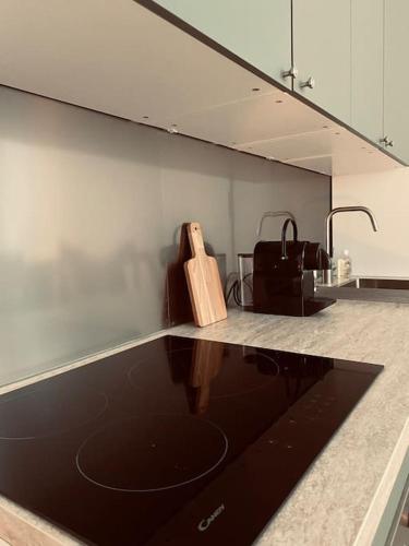 un morceau de bois assis au-dessus d'un comptoir de cuisine dans l'établissement Au cœur de Marseille : superbe appartement !, à Marseille