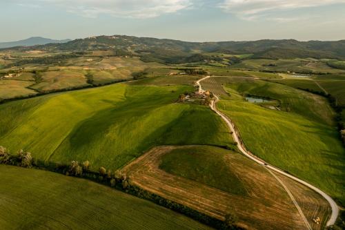 an aerial view of a green field with a dirt road at Wine Resort Colsereno in Montalcino