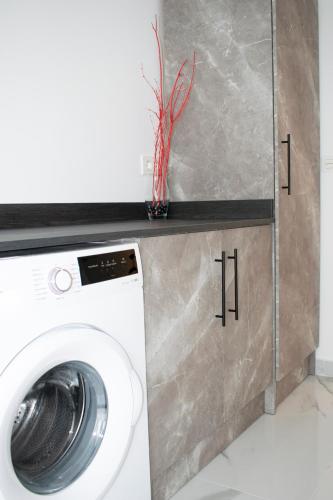 a washing machine with a vase on top of it at Deluxe Apartament Alcalá la Real in Alcalá la Real