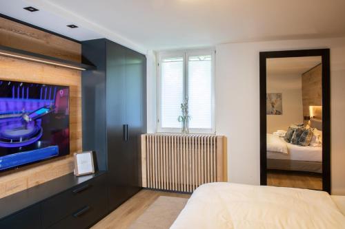バート・ビルンバッハにあるWeber Hofmark Apartmentsのベッドルーム1室(ベッド1台、テレビ、ベッドサイドシックスシックス付)