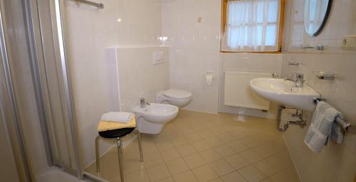La salle de bains est pourvue d'un lavabo, de toilettes et d'une douche. dans l'établissement Marerhof, à San Candido