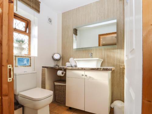 a bathroom with a toilet and a sink and a mirror at The Little Lodge in Rye