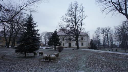 Το Piotrowice Nyskie Palace τον χειμώνα