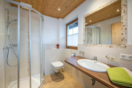 La salle de bains est pourvue d'un lavabo, d'une douche et de toilettes. dans l'établissement Appartement Greti, à Schladming