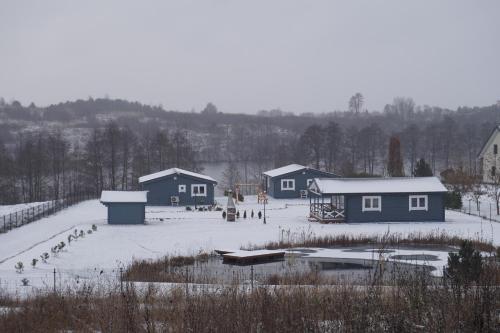 a group of houses in the snow with a pond at R&M Resort in Petkėniškės