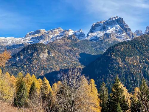 a mountain range with trees and snow at Monolocale in chalet alpino 022143-AT-010681 in Madonna di Campiglio